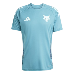 Camisa do Cruzeiro Treino 2025/26 – Masculino – Lançamento
